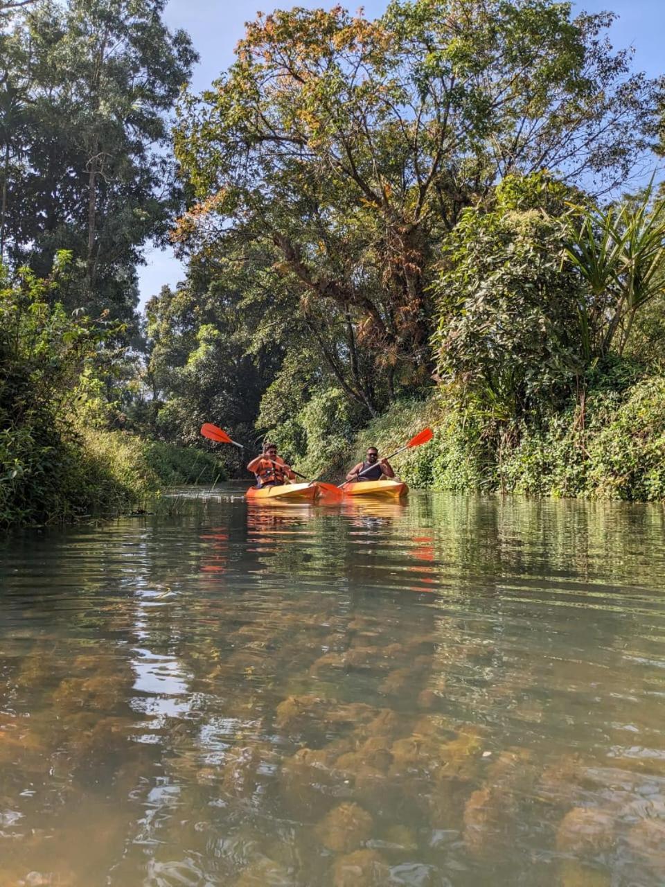 Nature Spot Cottages Coorg Kurchi Екстериор снимка